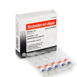 Galenika Testo E 250mg/ml 5x1ml